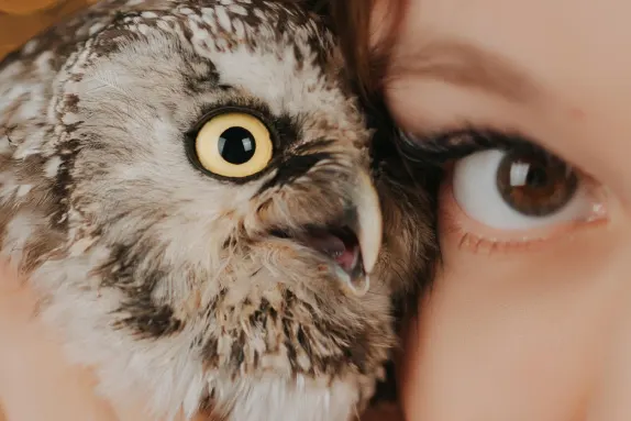 Kasino Royal Winner Sokongan